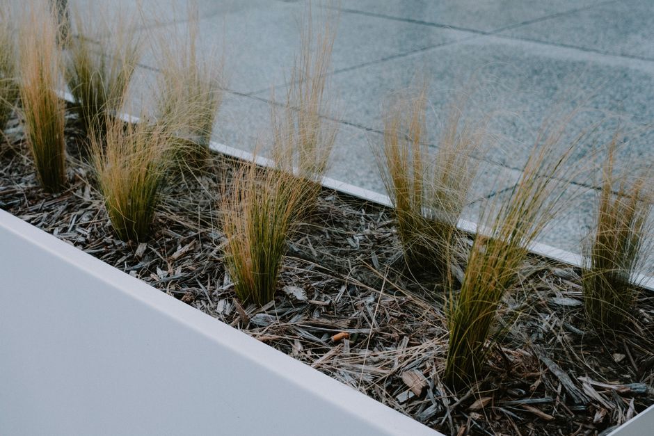 Zwarte stalen plantenbakken in een moderne tuin met kleurrijke bloemen en strakke lijnen.